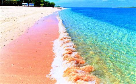 Santa Cruz Island: The Pink Sand Beach of .
